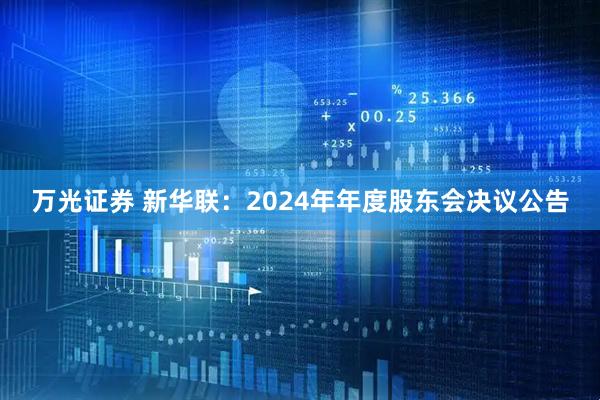 万光证券 新华联：2024年年度股东会决议公告