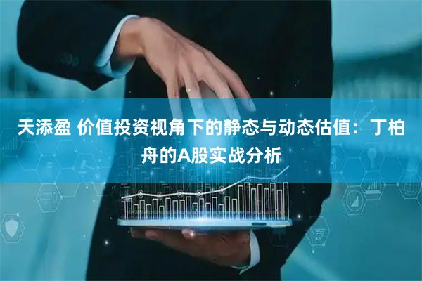 天添盈 价值投资视角下的静态与动态估值:丁柏舟的A股实战分析