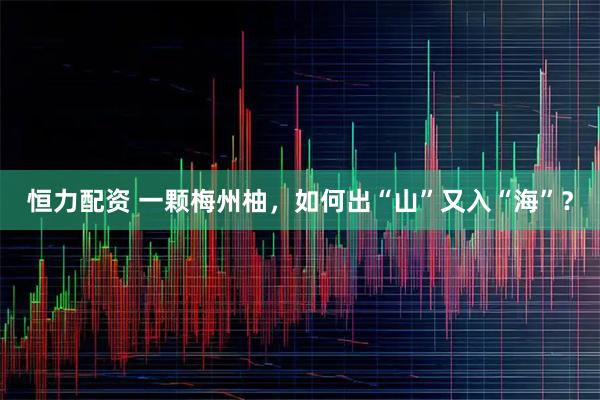 恒力配资 一颗梅州柚，如何出“山”又入“海”？