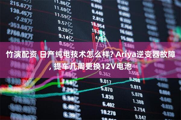 竹演配资 日产纯电技术怎么样? Ariya逆变器故障, 提车几周更换12V电池